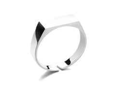 Stainless Steel Ring