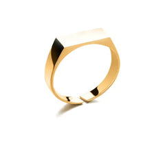 Stainless Steel Ring